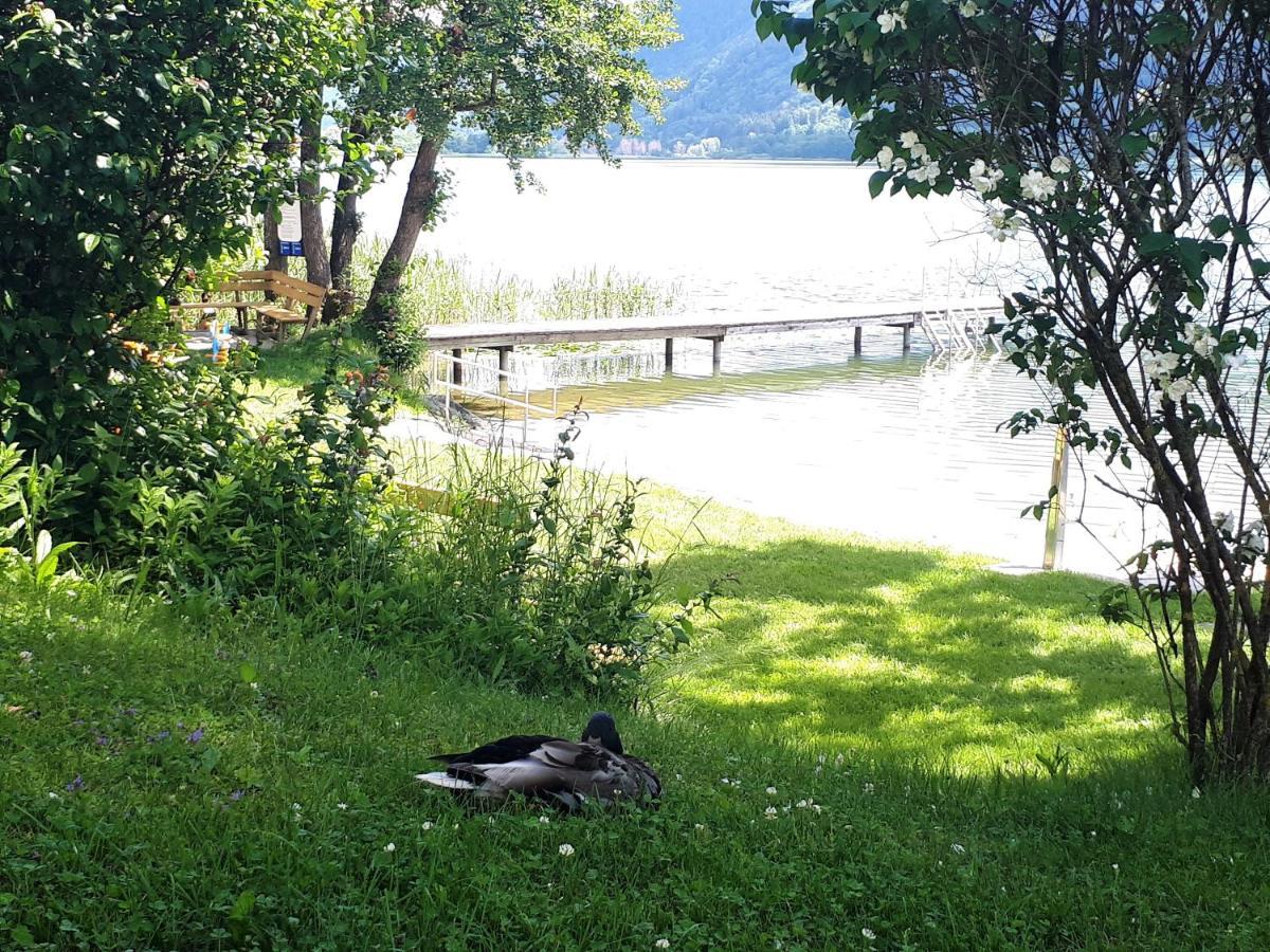 Anna Seeblick Appartement, Haus Haensel&Gretel Am Ossiachersee Mit Direktem Seezugang, Hallenbad Bodensdorf Luaran gambar